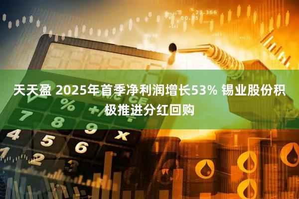 天天盈 2025年首季净利润增长53% 锡业股份积极推进分红回购
