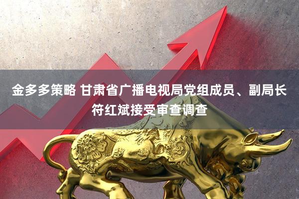 金多多策略 甘肃省广播电视局党组成员、副局长符红斌接受审查调查