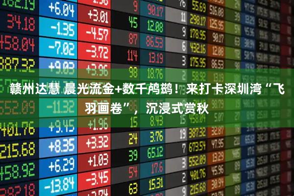 赣州达慧 晨光流金+数千鸬鹚!来打卡深圳湾“飞羽画卷”,沉浸式赏秋